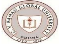 C.V. Raman Global University, Odisha